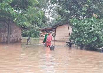 कैलालीका २ स्थानीय तहमा बाढी पस्यो, १०० घर डुबानमा