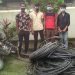 नेपाल टलिकमको तार चोरी गर्ने ४ जना पक्राउ
