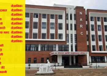 नार्कका ८ वैज्ञानिकसहित १६ जना बेपत्ता !