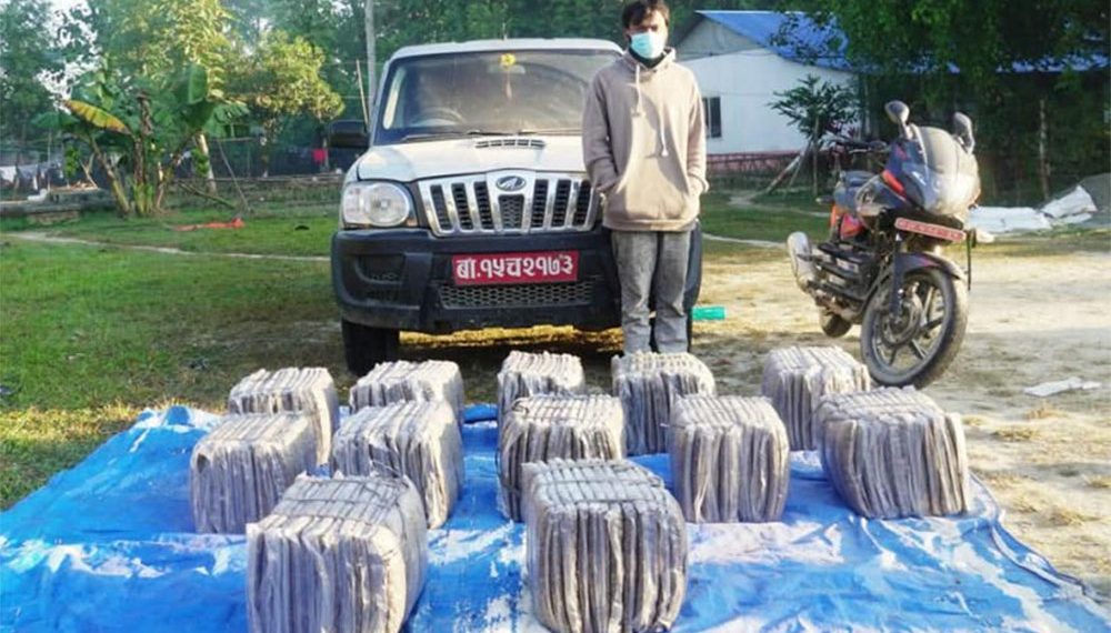 डेढ क्विन्टल गाँजासहित इनरूवाबाट समातिए आदित्य