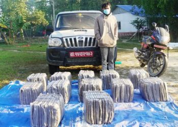 डेढ क्विन्टल गाँजासहित इनरूवाबाट समातिए आदित्य