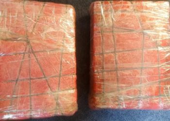 ‘पिकअपभ्यान’ सहित १७६ किलो गाँजा बरामद