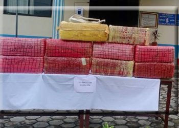 एम्बुलेन्सबाट ५१ किलो गाँजा बरामद