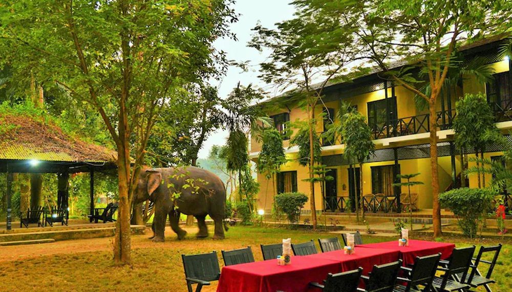 साैराहा घुम्न पुगेकी एक किशोरीको होटलको झ्यालबाट खसेर मृत्यु