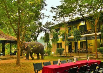 साैराहा घुम्न पुगेकी एक किशोरीको होटलको झ्यालबाट खसेर मृत्यु