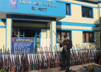 म्याग्दीमा एक सय पन्ध्र थान बन्दुक बरामद