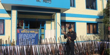 म्याग्दीमा एक सय पन्ध्र थान बन्दुक बरामद