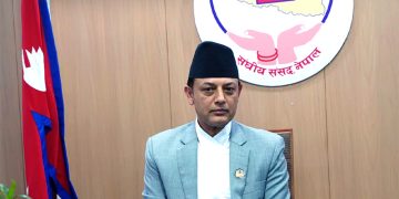 प्रतिनिधि सभामा २ समिति गठन, ३ अध्यादेश स्वीकृत